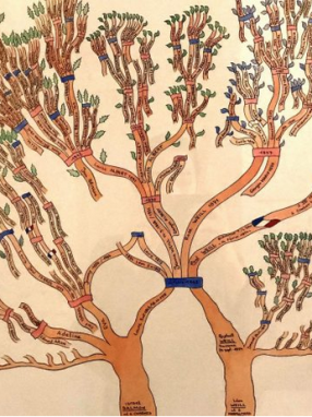 Arbre généalogique de la famille Weill